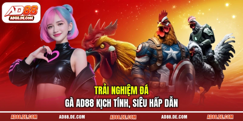 Trải nghiệm đá gà AD88 kịch tính, siêu hấp dẫn